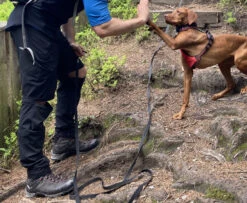 Halti Pallas X-Stretch Lite Zip-Off Pants - Zip-Off Hose -Rip Curl-Laden halti pallas x stretch lite zip off pants zip off hose 98dba1df51b44ea04d61a3a3dd590d77 1