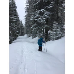 Ortovox 3L Ortler Pants - Regenhose -Rip Curl-Laden ortovox 3l ortler pants regenhose bcca0c4356e84ea59c42b8eb4de54459 1