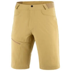 Salomon Wayfarer Shorts - Shorts -Rip Curl-Laden salomon wayfarer shorts shorts 2